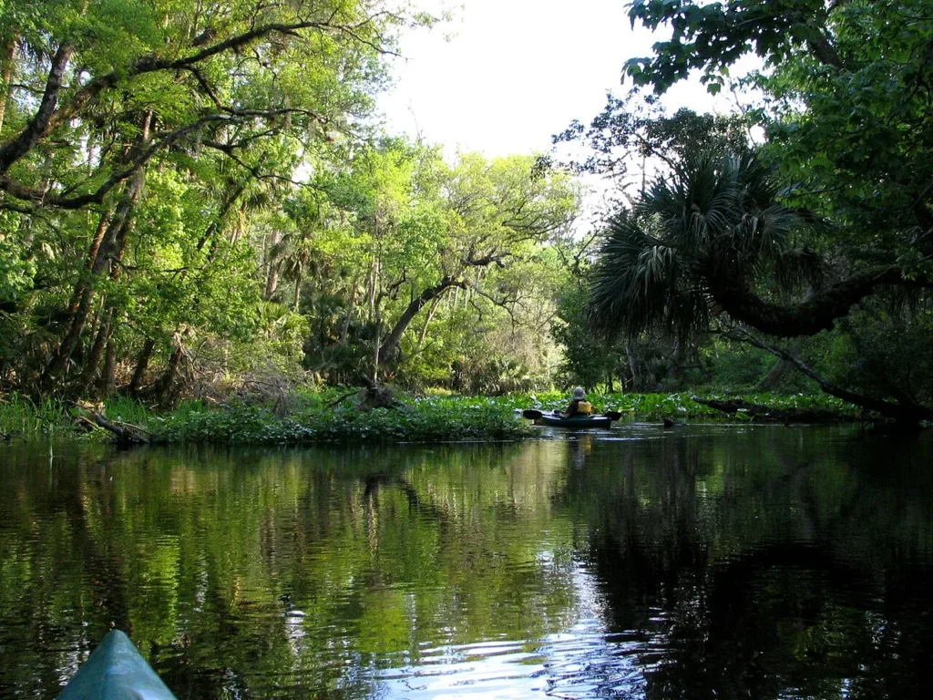 A kayaker on the tree-lined spring run below the spring at Wekiwa Springs State Park