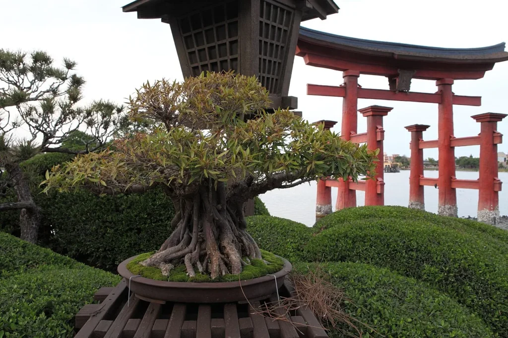 Bonsai on a wooden stand before the red torii gate at EPCOT's Japan pavilion