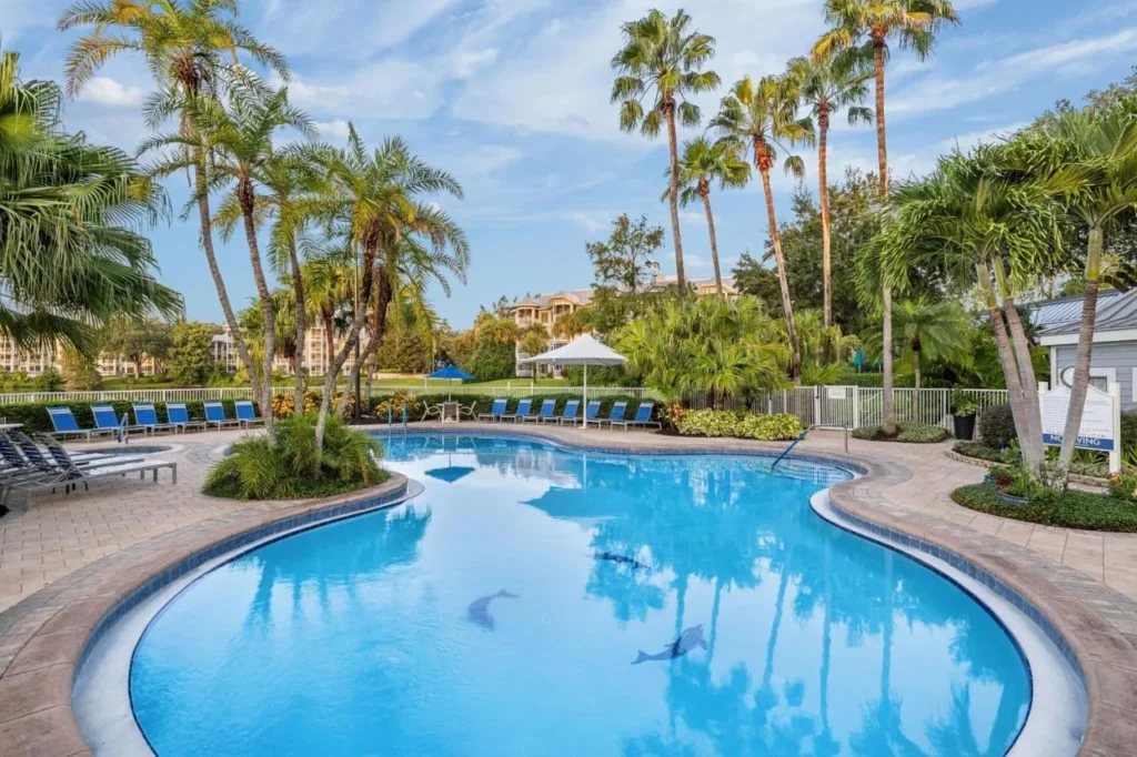 Curving pool with dolphin mosaics, palm trees and villa buildings at Marriott's Cypress Harbour