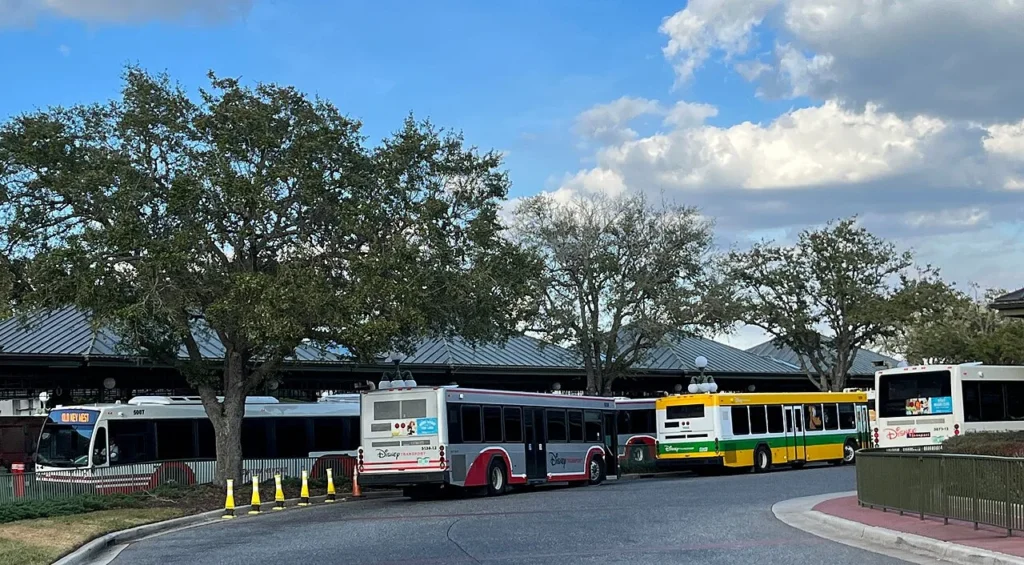 Disney buses lined up at the bus loop of Walt Disney World's Transportation and Ticket Center