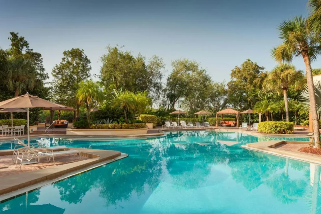 Piscina al aire libre de forma libre con sombrillas, tumbonas y palmeras en Marriott Orlando Airport Lakeside