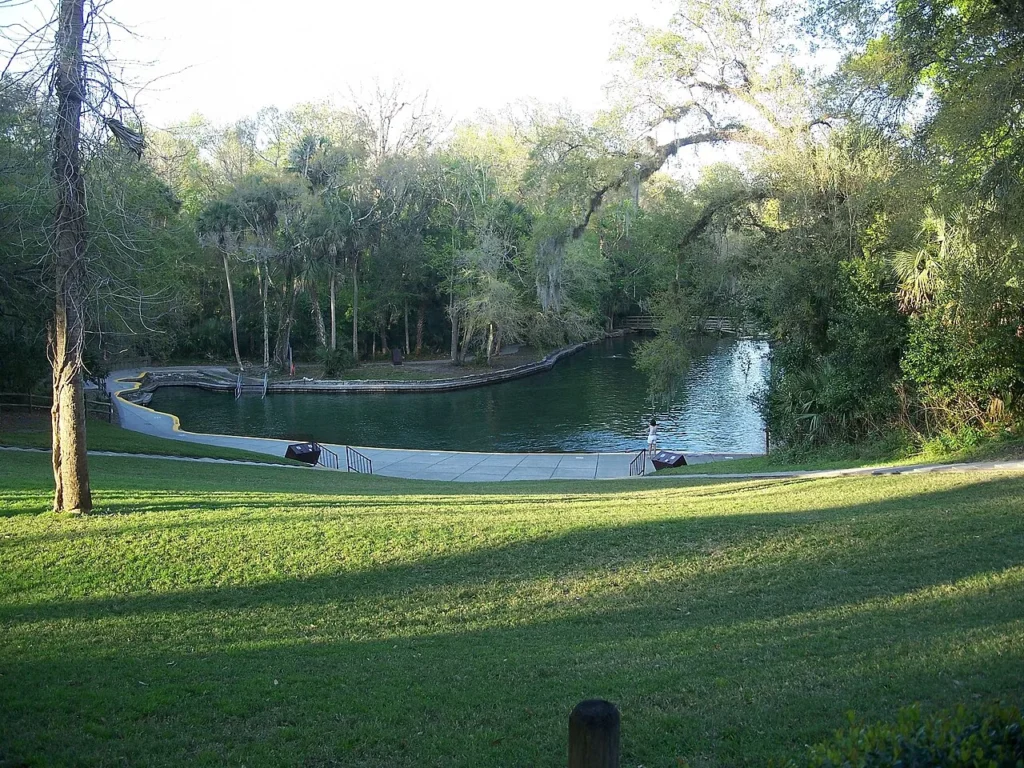 Grassy slope leading down to the spring swimming area at Wekiwa Springs State Park in Apopka