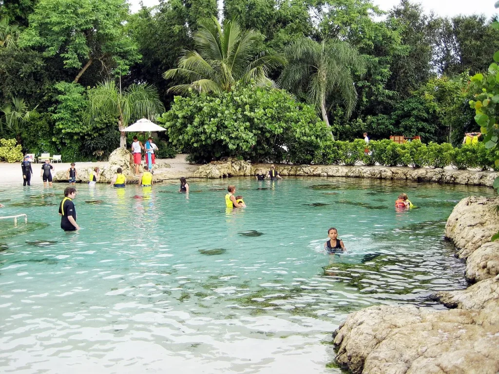 Guests in wetsuits and vests wading in a clear shallow lagoon with rays at Discovery Cove