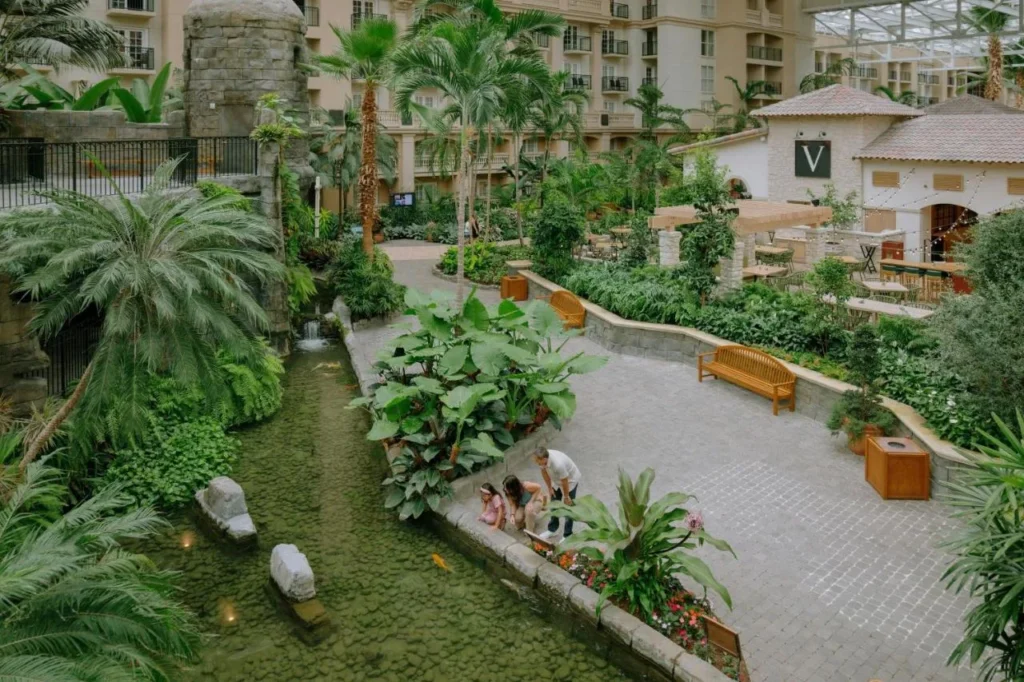 Atrio de jard&iacute;n interior en Gaylord Palms Resort con un arroyo koi, palmeras y terraza comedor de estilo al aire libre bajo el vidrio