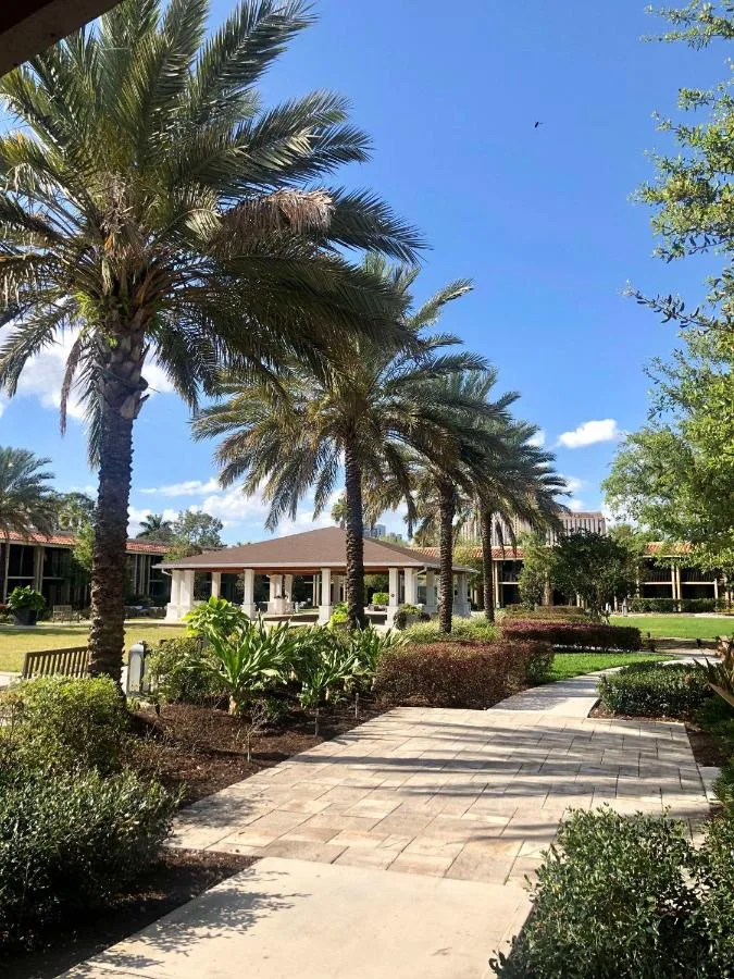 Palm-lined courtyard walkway and gazebo at the DoubleTree by Hilton Orlando Theme Park Resort
