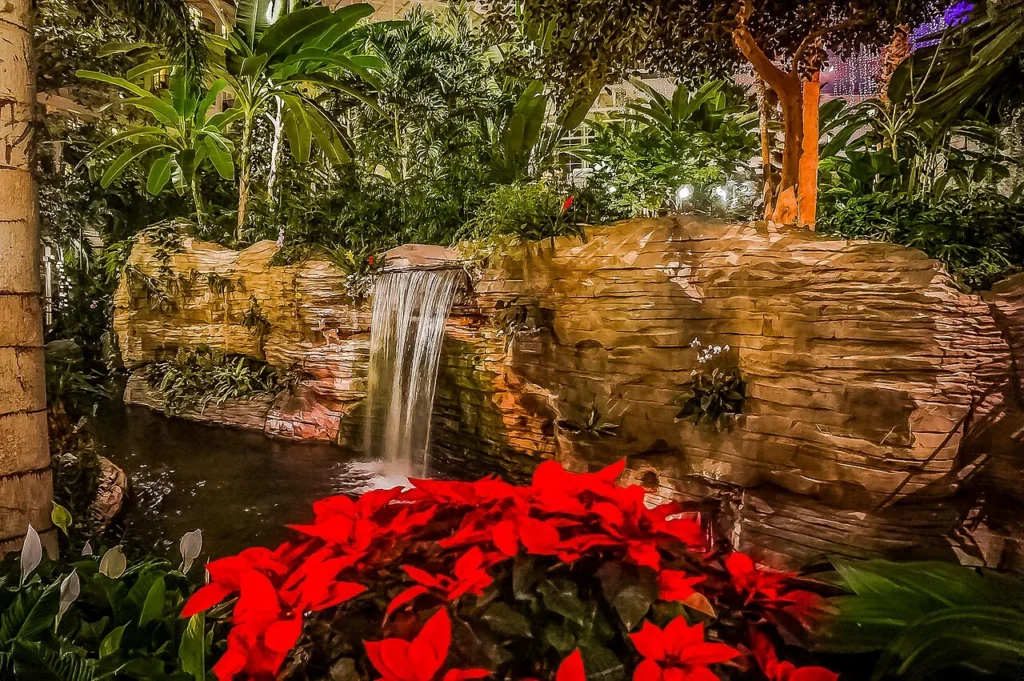 Red poinsettias beside a rock waterfall in the Gaylord Palms indoor garden atrium