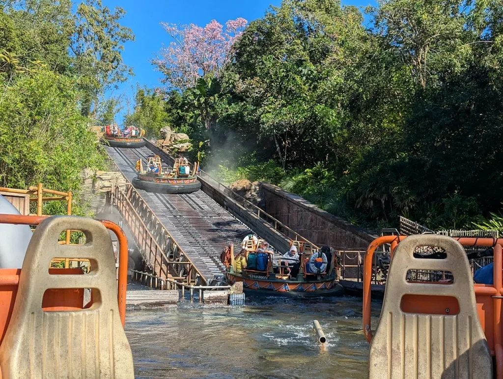 Round rafts climbing the misty lift hill of Kali River Rapids through jungle at Animal Kingdom