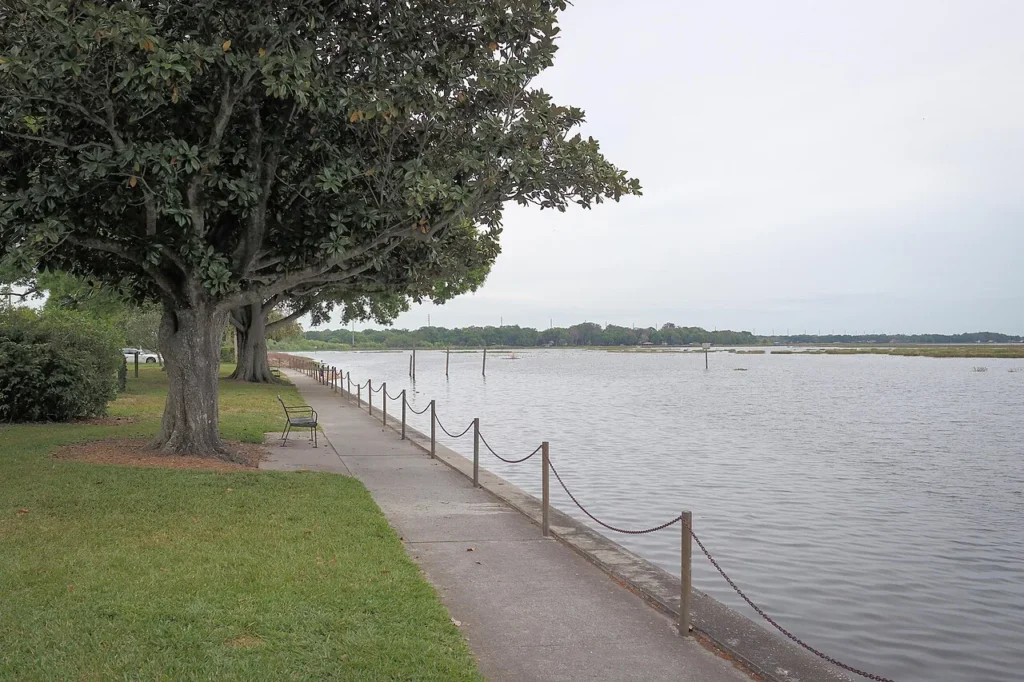 Shoreline path with a bench and magnolia trees along Lake Tohopekaliga at Kissimmee Lakefront Park