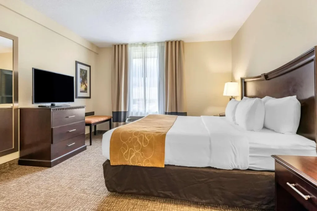 Suite con una cama king size, una c&oacute;moda y TV de pantalla plana en Comfort Suites Maingate East