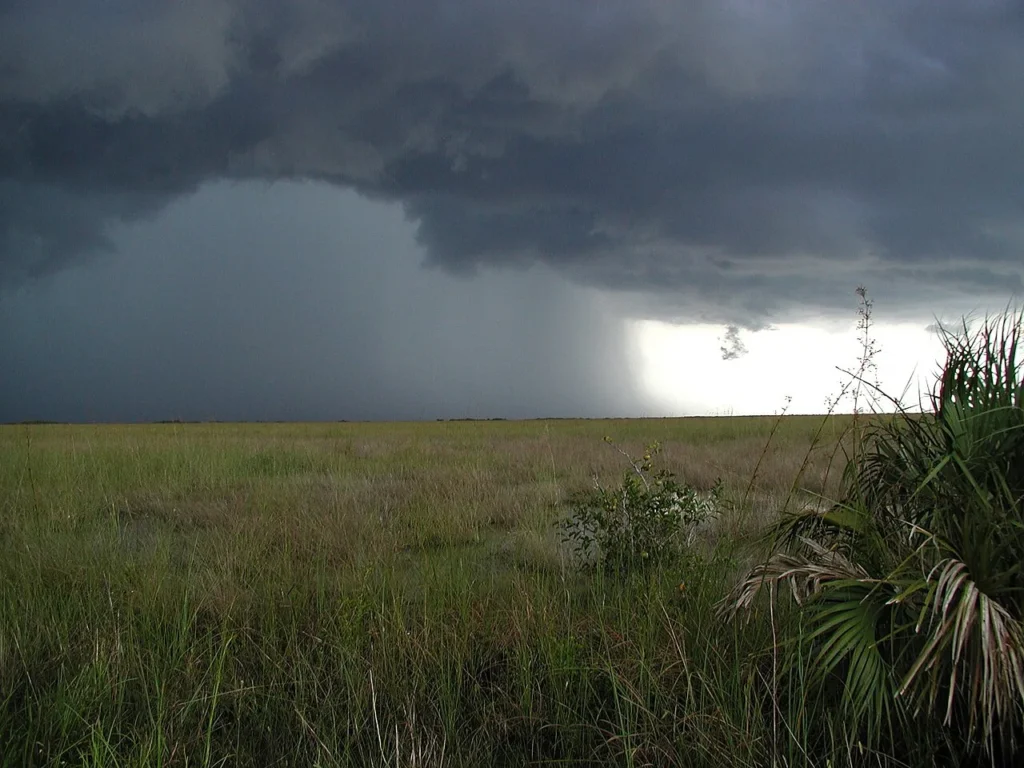 Summer thunderstorm with a dark rain shaft over Florida sawgrass prairie in Everglades National Park